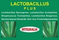 Lactobacillus Plus 60 Capsules