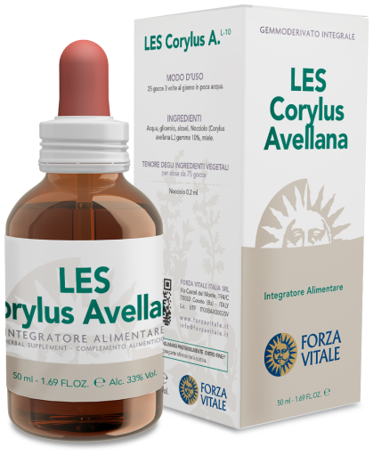 Corylus Avellana Hazel 50 ml