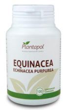 Echinacea 100 Tablets Eco