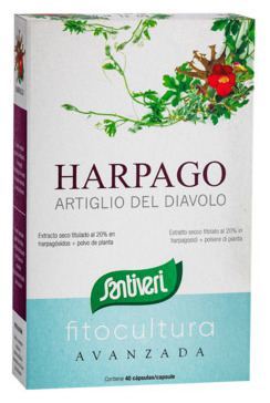 Harpago 40 Capsules