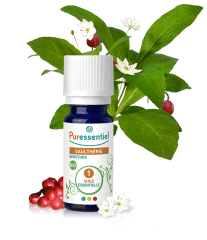 Wintergreen Essential Oil 10 ml