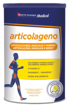 Lemon Flavor Artcollagen 350 gr