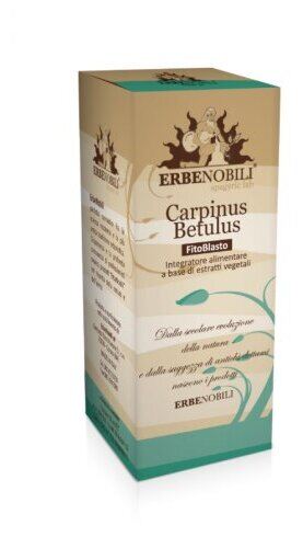 Carpinus Betulus Phytoblast 50 ml