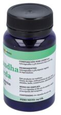 Ashwagandha 60 Capsules